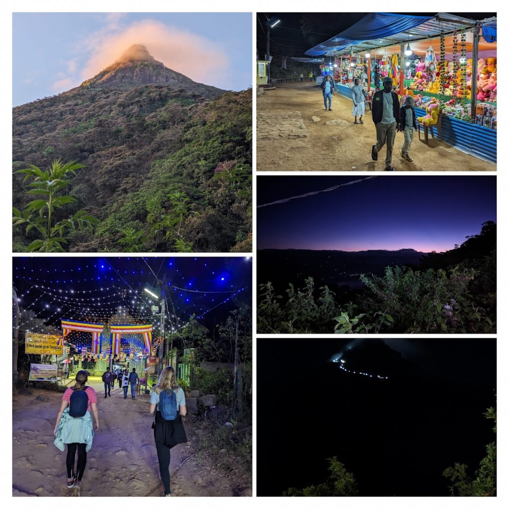 Pxl 20240127 214039846 Collage