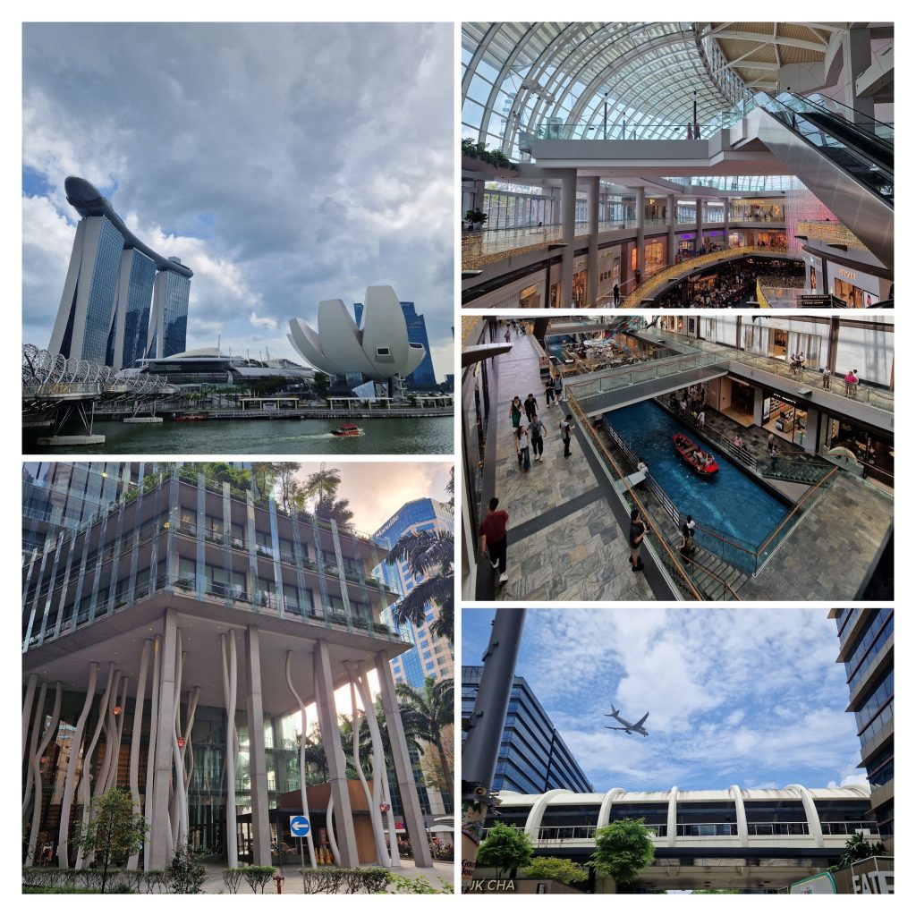 20240216 132607 Collage