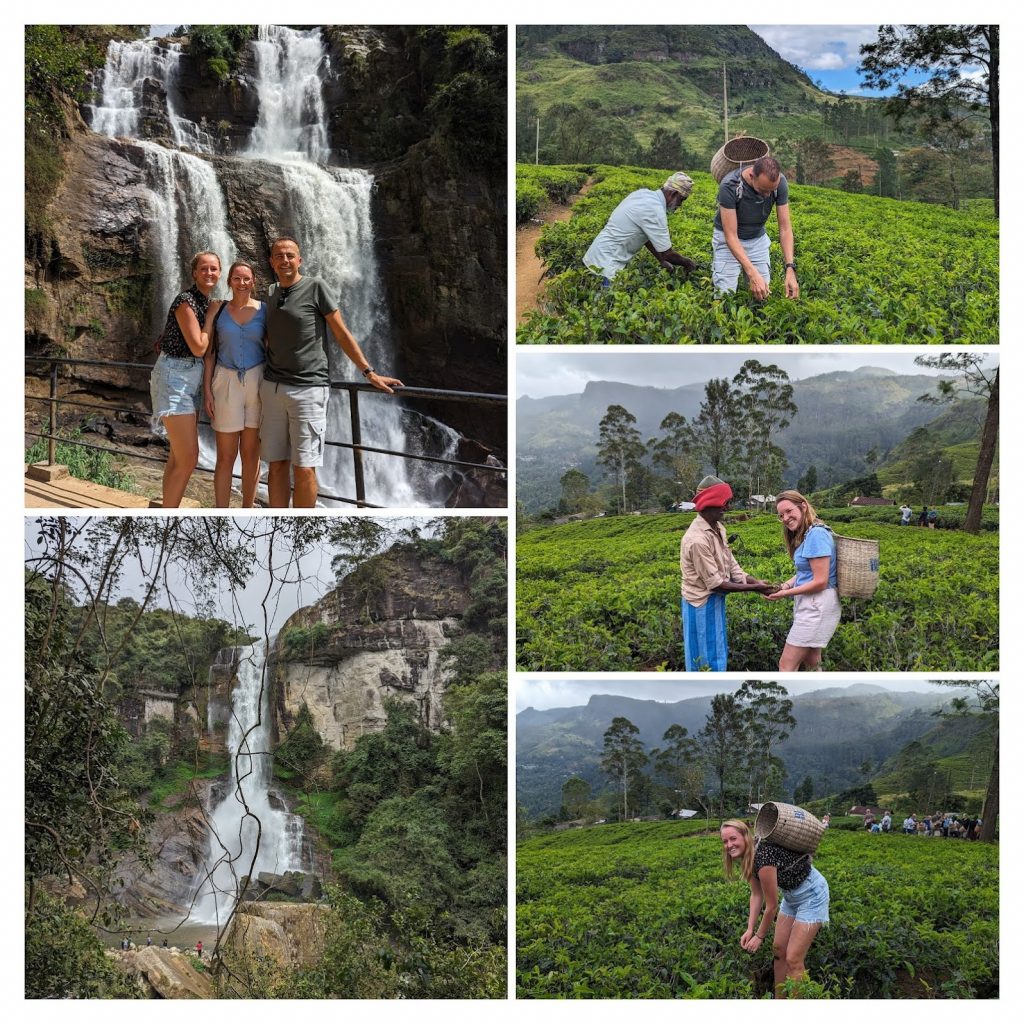 Pxl 20240129 052918383 Collage